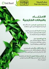 Página 16 en Ofertas de estrellas de la semana en mercado Astra Arabia Saudita
