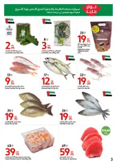 Page 3 dans Meilleures offres chez Carrefour Émirats arabes unis