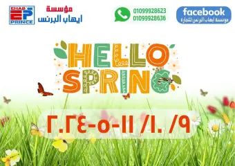 Page 1 in Spring offers at Ehab Elprince Egypt