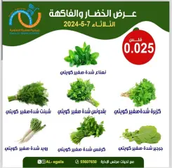 Page 2 in Vegetable and fruit offers at Alegaila co-op Kuwait