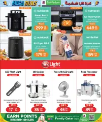 Page 6 in Mega Deals at Family Food Centre Qatar