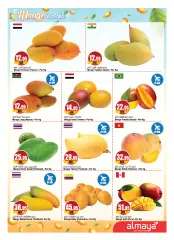 Page 2 in Mango Festival Offers at Al Maya UAE