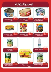 Page 9 in Summer Deals at Mekkawy Market Egypt