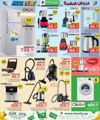 Page 10 in Mega Deals at Family Food Centre Qatar