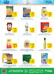 Page 9 in Back to Home offers at Abu Dhabi coop UAE