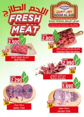 Page 2 in Fresh and exclusive deals at Hoor Al Ain Sultanate of Oman