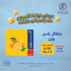Page 2 in Weekend Deals at Exception Market Egypt