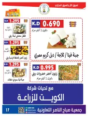Page 17 in Big Sale at Sabahel Nasser co-op Kuwait