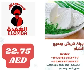 صفحة 14 ضمن صفقات المنتجات المصرية في أسواق العمدة الإمارات
