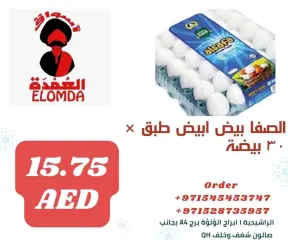 صفحة 40 ضمن صفقات المنتجات المصرية في أسواق العمدة الإمارات