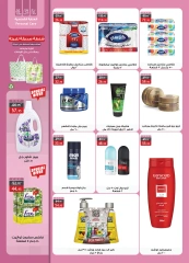 Page 16 in Big Deals at Al Rayah Market Egypt