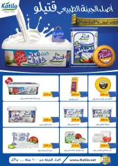 Página 4 en Ofertas de aniversario en Mercados Othaim Egipto