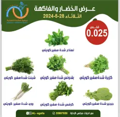 Page 2 in Vegetable and fruit offers at Alegaila co-op Kuwait