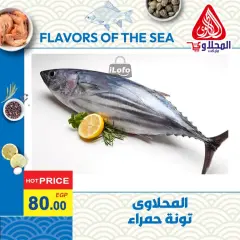 Page 7 in Fish Deals at El Mahlawy market Egypt