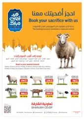 Página 62 en Ofertas Eid Al Adha en Cooperativa de Sharjah Emiratos Árabes Unidos