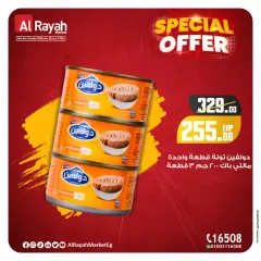 Page 5 in Special promotions at Al Rayah Market Egypt