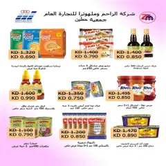 صفحة 13 ضمن عروض تحطيم الأسعار في جمعية النزهة الكويت