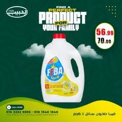 Page 22 in Special promotions at Al Habeeb Market Egypt