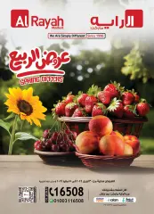Página 1 en Ofertas de primavera en Mercado Al Rayah Egipto