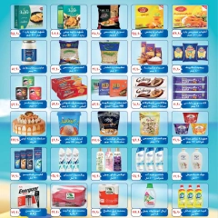 Page 3 in Summer Deals at Bassem Market Egypt