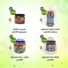 Page 3 in Spring offers at Alnahda almasria UAE