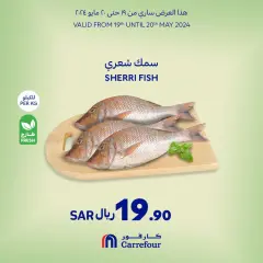 Page 4 dans meilleur prix chez Carrefour Arabie Saoudite