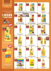 Page 15 in Frozen Offers at Al Rayah Market Egypt