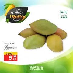 Page 11 in Mango Festival Offers at Sharjah Cooperative UAE