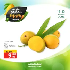 Page 12 in Mango Festival Offers at Sharjah Cooperative UAE