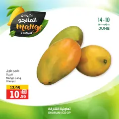 Page 13 in Mango Festival Offers at Sharjah Cooperative UAE
