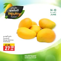 Page 3 in Mango Festival Offers at Sharjah Cooperative UAE
