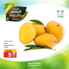 Page 4 in Mango Festival Offers at Sharjah Cooperative UAE