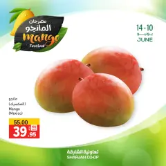 Page 6 in Mango Festival Offers at Sharjah Cooperative UAE