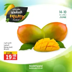 Page 7 in Mango Festival Offers at Sharjah Cooperative UAE