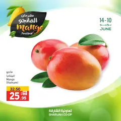 Page 8 in Mango Festival Offers at Sharjah Cooperative UAE
