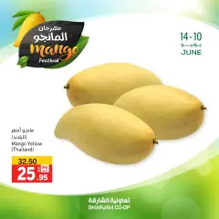 Page 9 in Mango Festival Offers at Sharjah Cooperative UAE