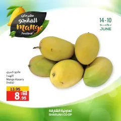 Page 10 in Mango Festival Offers at Sharjah Cooperative UAE