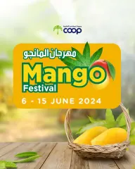 Page 1 in Mango Festival Offers at Abu Dhabi coop UAE