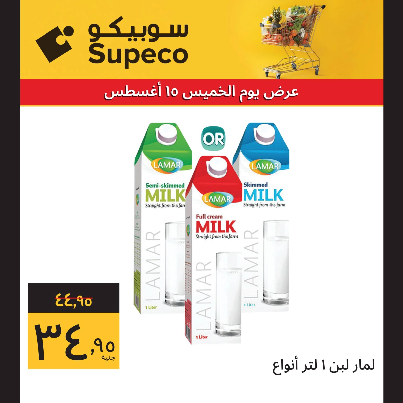صفحة 2 ضمن عرض اليوم الواحد في سوبيكو مصر