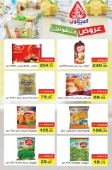 Page 8 in Summer Sale at El Mahlawy market Egypt