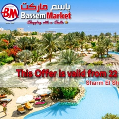 Page 1 in Summer Deals at Bassem Market Egypt