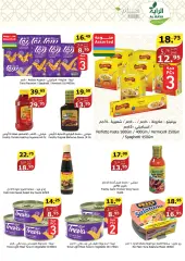 Page 16 in Summer Deals at Al Rayah Market Saudi Arabia