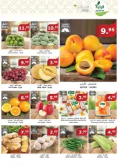 Page 4 in Summer Deals at Al Rayah Market Saudi Arabia