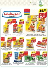 Page 6 in Summer Deals at Al Rayah Market Saudi Arabia
