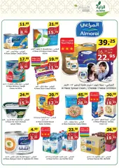 Page 8 in Summer Deals at Al Rayah Market Saudi Arabia