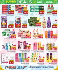 Page 13 in Wonder Deals at Family Food Centre Qatar