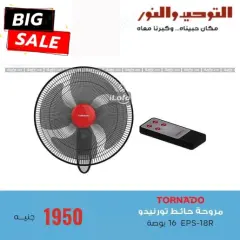 Página 7 en ofertas de verano en Al Tawheed Welnour Egipto