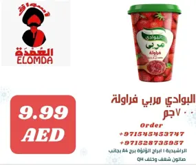 Page 31 dans productos egipcios chez Elomda Émirats arabes unis