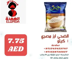 Page 5 in Egyptian products at Elomda UAE