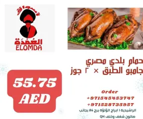 Page 42 dans productos egipcios chez Elomda Émirats arabes unis